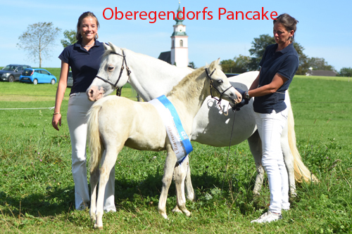 Oberegendorfs Pancake